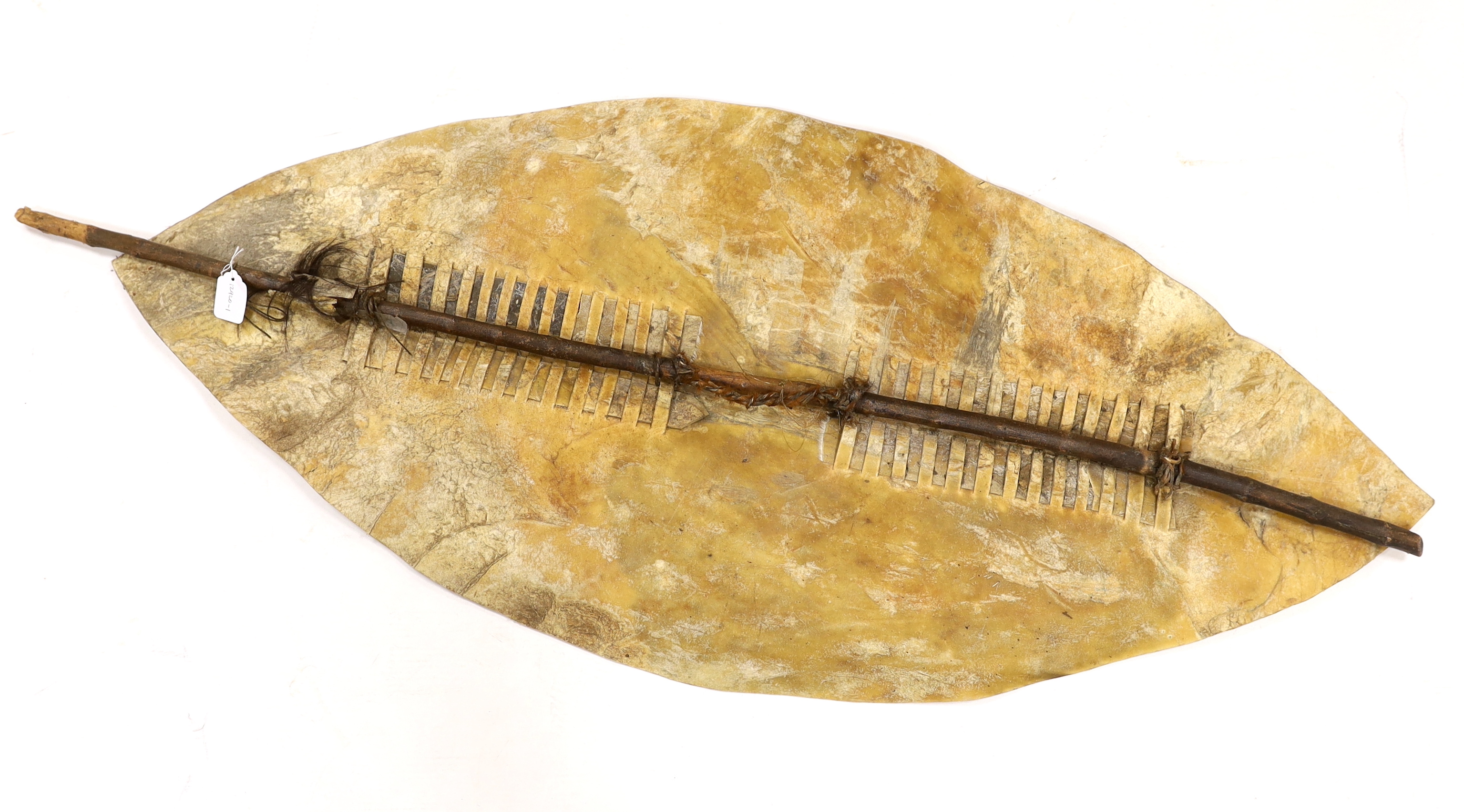 A large Ishilunga cowhide shield of conventional form with wooden stiffener, 148cm